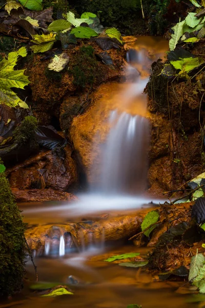 Hermosa Cascada Bosque Salvaje — Foto de Stock