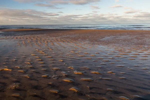 Małe Kamienie Piasku Plaży — Zdjęcie stockowe