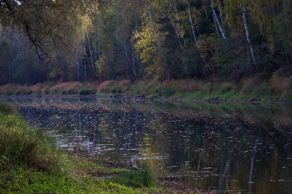 Beau Paysage Avec Rivière Forêt — Photo