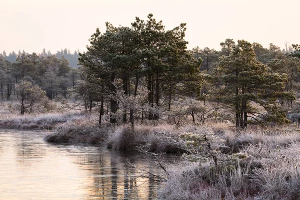 Beautiful Landscape Cold Day — Stock Photo, Image