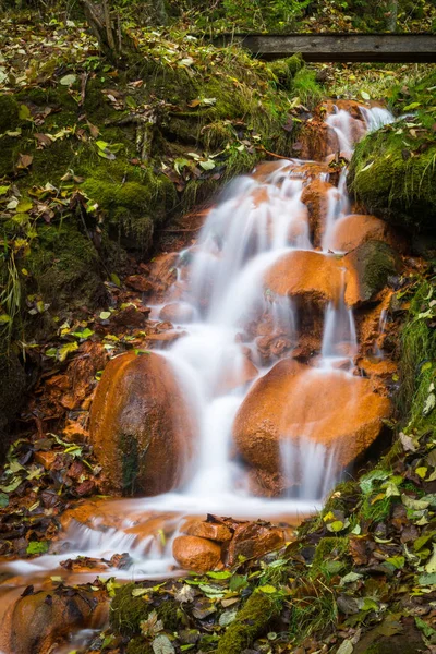 Vackra Vattenfall Vilda Skogen — Stockfoto