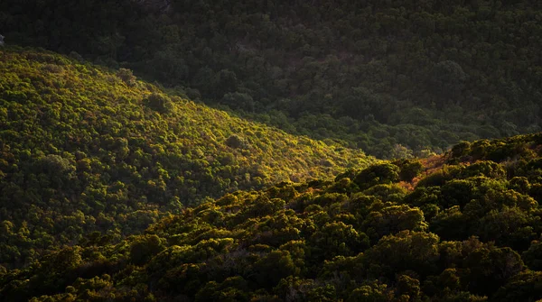 Vue Aérienne Paysage Montagneux — Photo