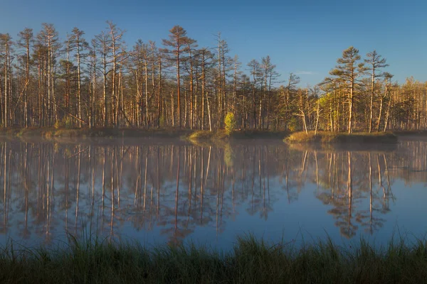 Beautiful Landscape Day Time — 스톡 사진