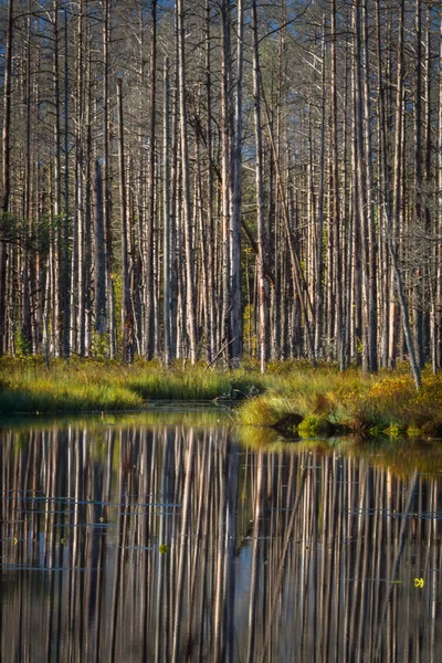 Hermoso Paisaje Durante Día — Foto de Stock