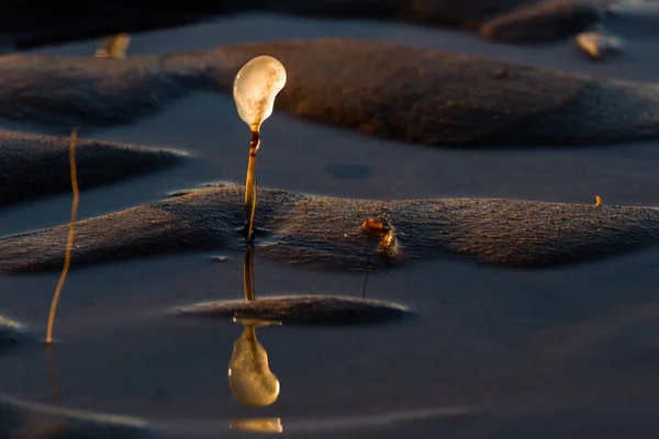 Piccole Pietre Nella Sabbia Sulla Spiaggia — Foto Stock