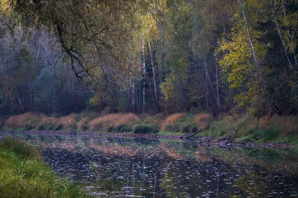 川や森のある美しい風景 — ストック写真