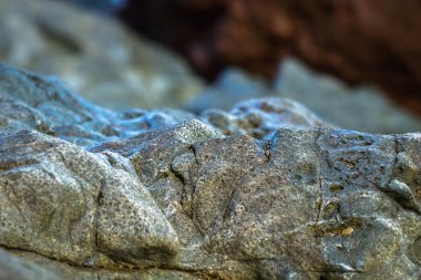 Kayalık deniz kıyıları