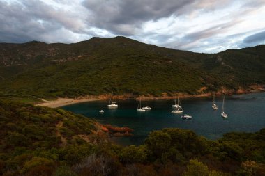 Malta 'daki deniz koyunda tekneler