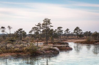 güneşli bir gün güzel manzara