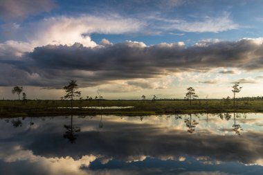  Kumsaldaki kumsalda küçük taşlar
