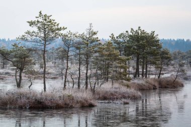 güneşli bir gün güzel manzara