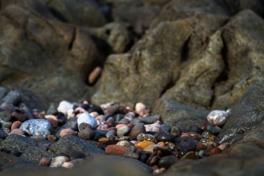 Kayalık deniz kıyıları