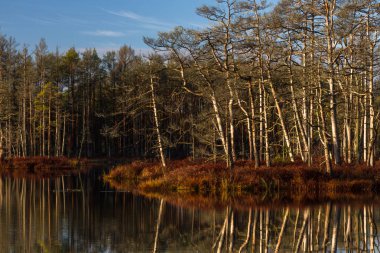 Güneşli günde güzel manzara