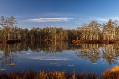 Güneşli günde güzel manzara