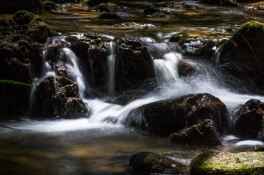 Vahşi ormanda taşlı şelale