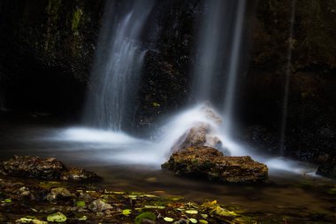 Vahşi ormanda güzel şelale