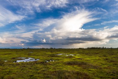  Kumsaldaki kumsalda küçük taşlar