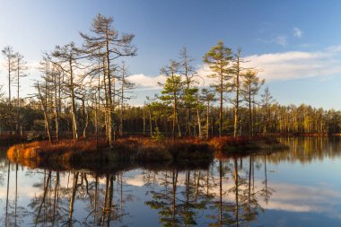 Güneşli günde güzel manzara