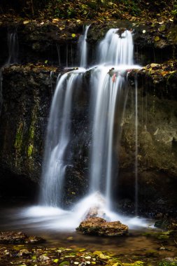 Vahşi ormanda güzel şelale