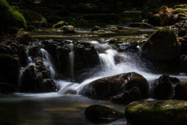 Vahşi ormanda taşlı şelale