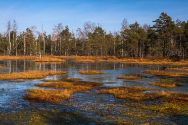 güneşli bir gün güzel manzara