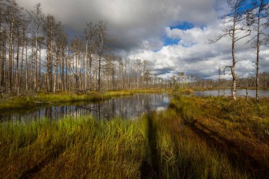 Gündüz güzel manzara