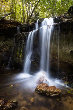 Vahşi ormanda güzel şelale
