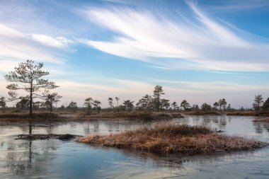 güneşli bir gün güzel manzara