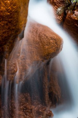 Vahşi ormanda güzel şelale