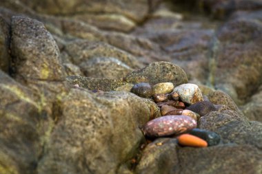 Kayalık deniz kıyıları