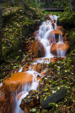 Vahşi ormanda güzel şelale