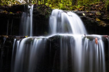 Vahşi ormanda güzel şelale