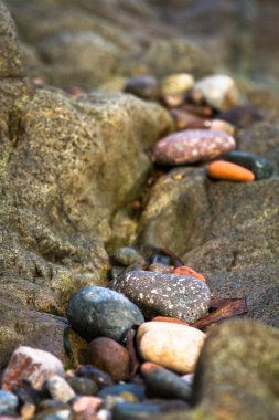 Malta adasındaki kayalarda taşlar