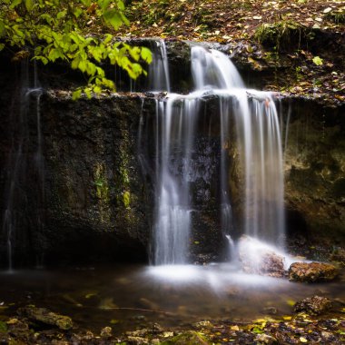 Vahşi ormanda güzel şelale