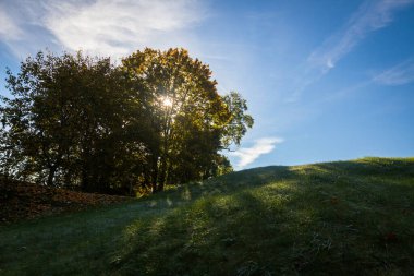 Güneşli bir günde yeşil çayır tepesi