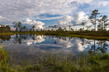 Finlandiya 'nın Riisitunturi tepesinde küçük bir gölet