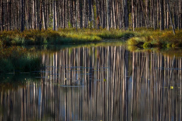 Prachtig Landschap Dag Tijd — Stockfoto