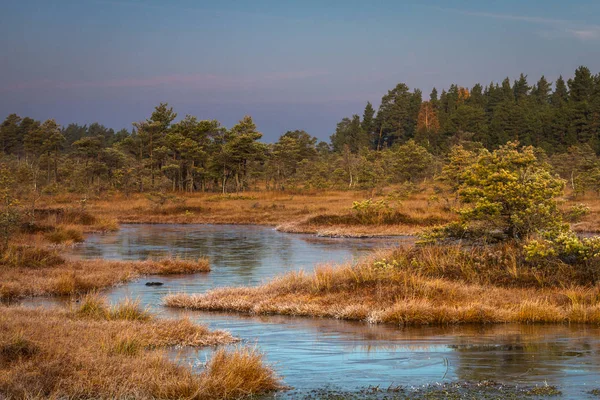 Beautiful Landscape Sunny Day — Stock Photo, Image