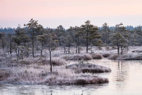 Vackert Landskap Vid Kall Dag — Stockfoto