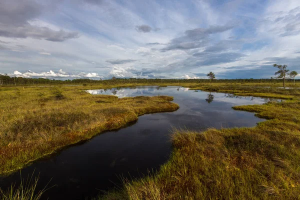 Hermoso Atardecer Sobre Río —  Fotos de Stock