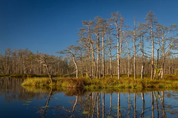 Schöne Landschaft Bei Tag — Stockfoto