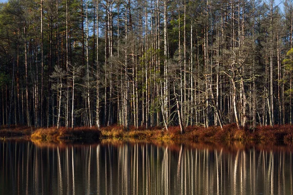 Beau Paysage Par Temps Ensoleillé — Photo