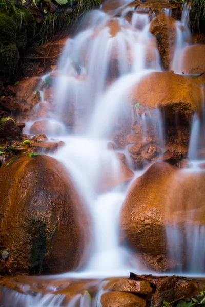 Hermosa Cascada Bosque Salvaje — Foto de Stock