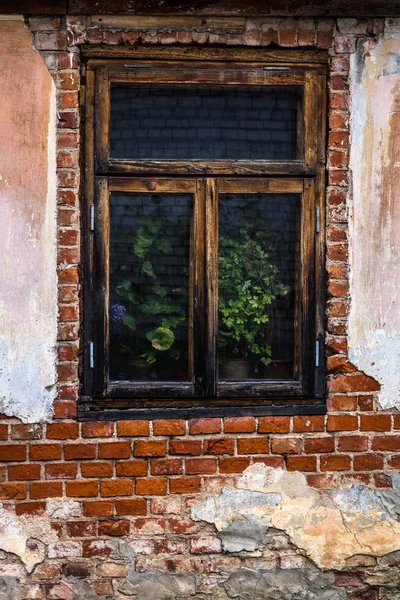 Velho Edifício Tijolos Abandonados — Fotografia de Stock