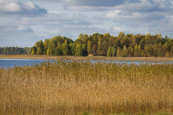 Piękny Krajobraz Rzeką Łąką Lasem — Zdjęcie stockowe