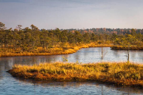 Vackert Landskap Solig Dag — Stockfoto