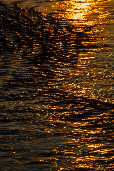 Stone Sea Coast Sunset — Stock Photo, Image