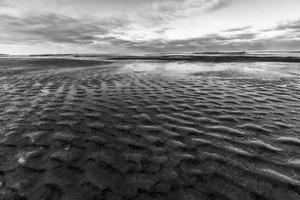 Petites Pierres Dans Sable Sur Plage — Photo