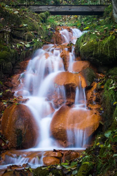 Hermosa Cascada Bosque Salvaje — Foto de Stock