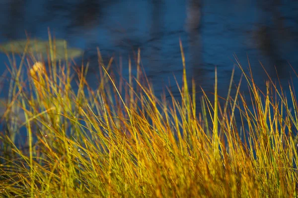 Beautiful Landscape Day Time — Stock Photo, Image